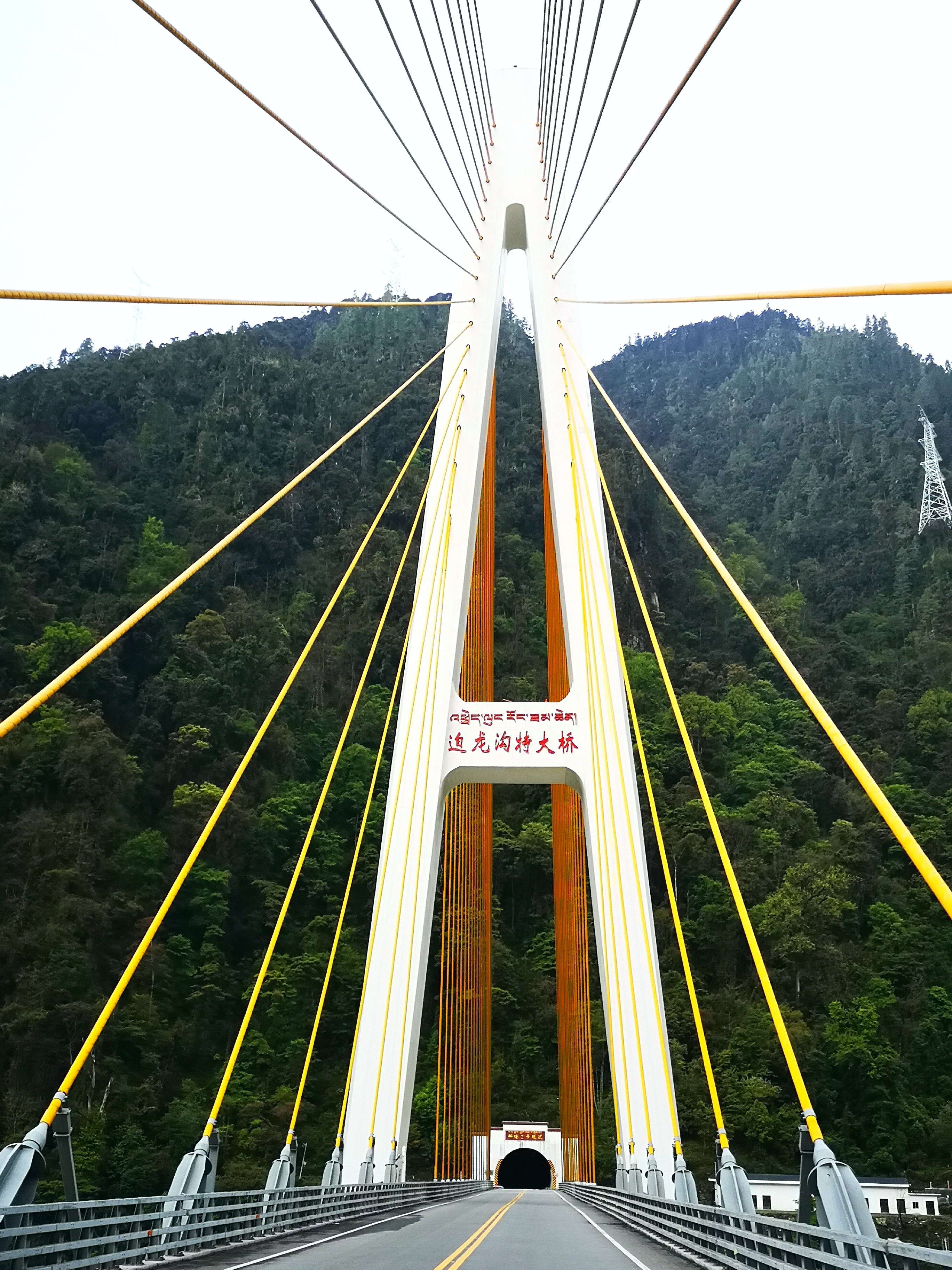 追龙沟特大桥介绍图片