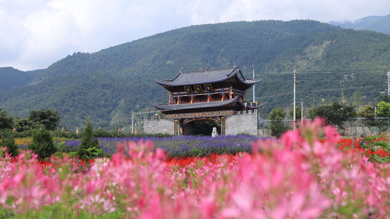 《大理白族园》李志权.JPG