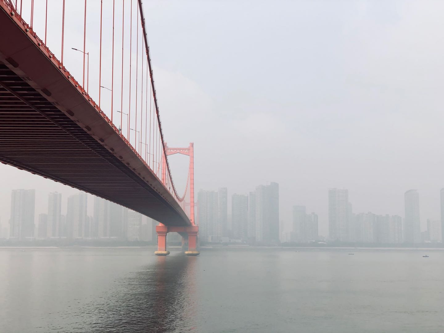 武汉：鹦鹉洲长江大桥.jpg