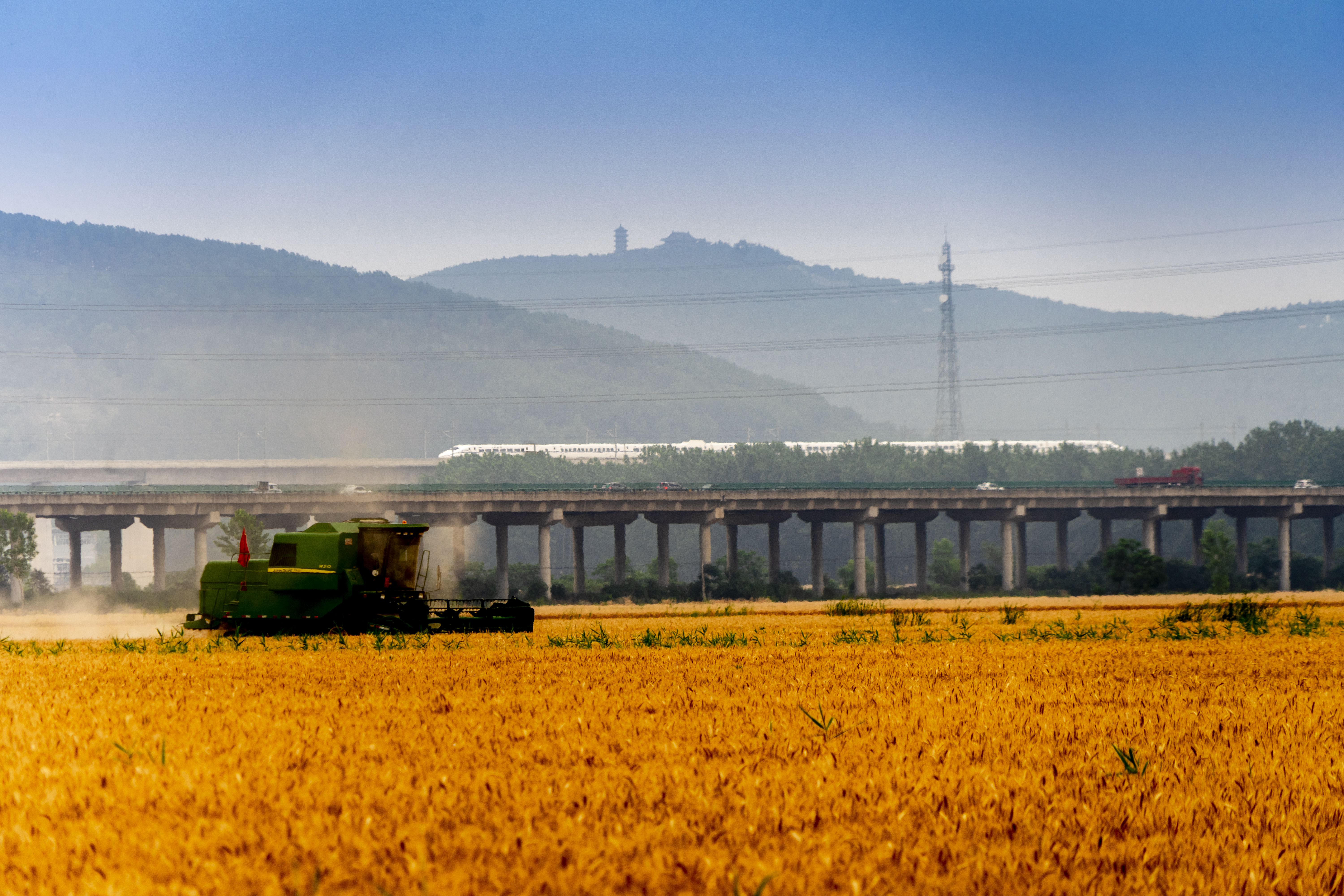 胡平《收获》Sony，2020年6月份安徽省寿县古城八公山下农民正用收割。机收割小麦，旁边动车通过，一片收获景象。.jpg