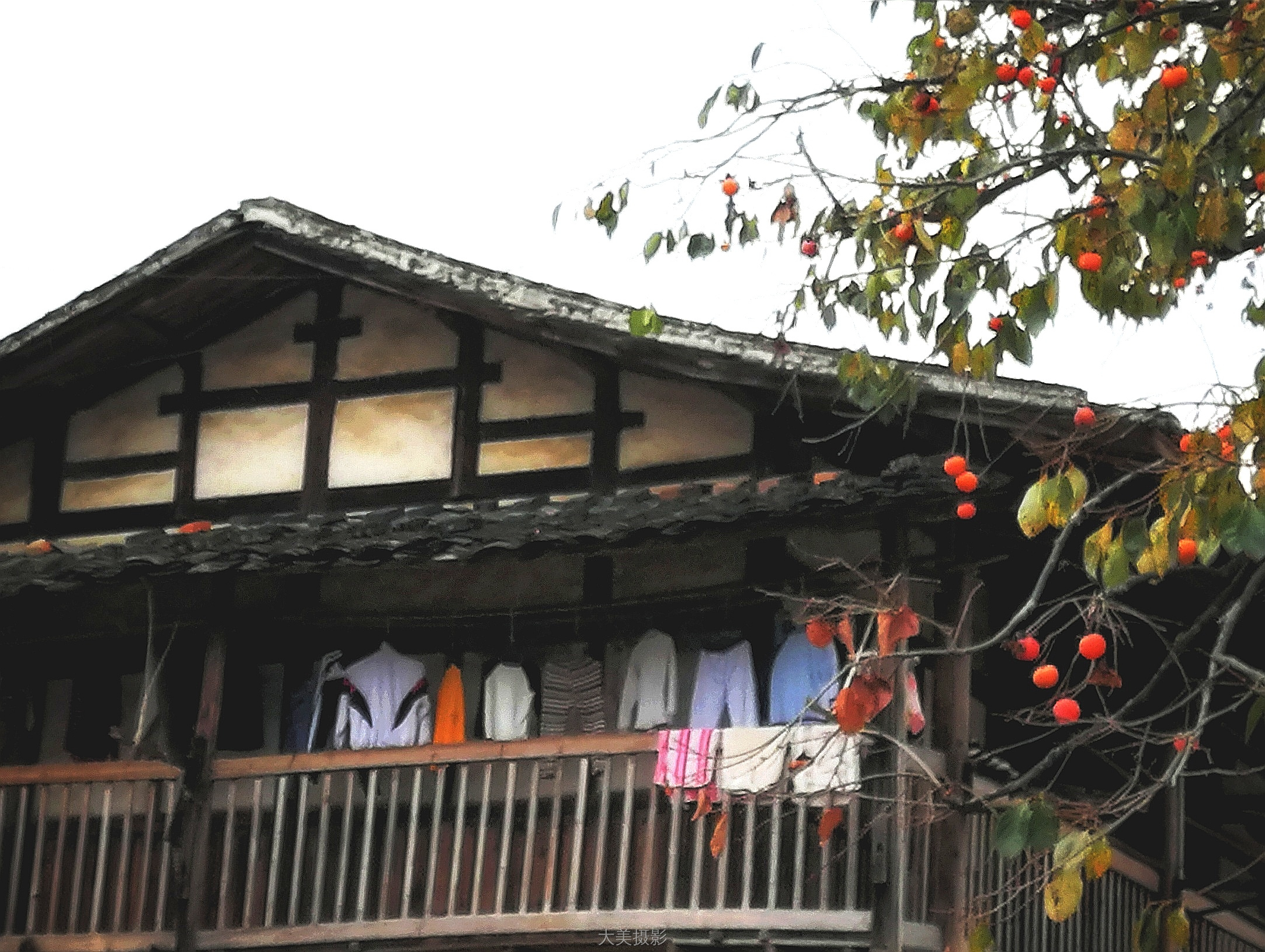 福建-谢光 《好柿连连》 HUAWEI.jpg