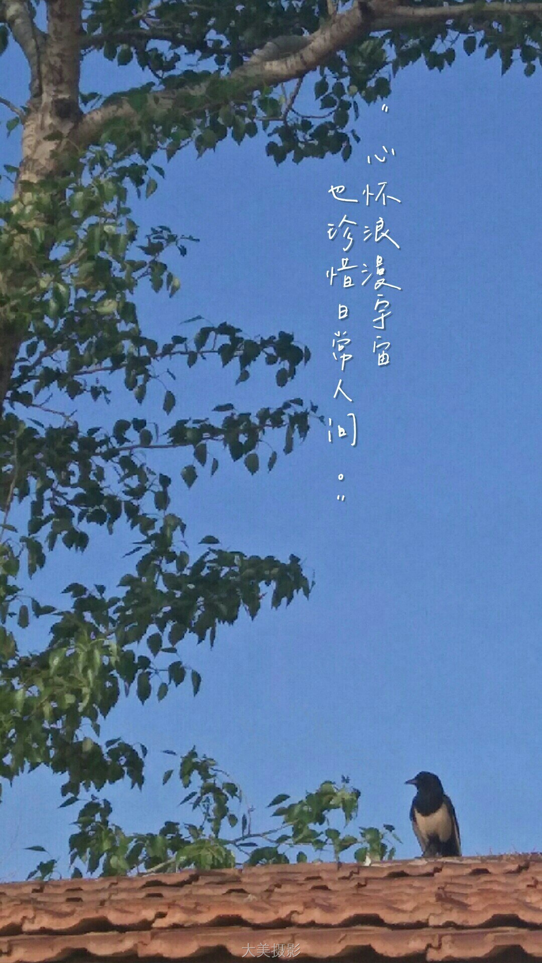 Yeeep! 《春日》 OPPO.jpg