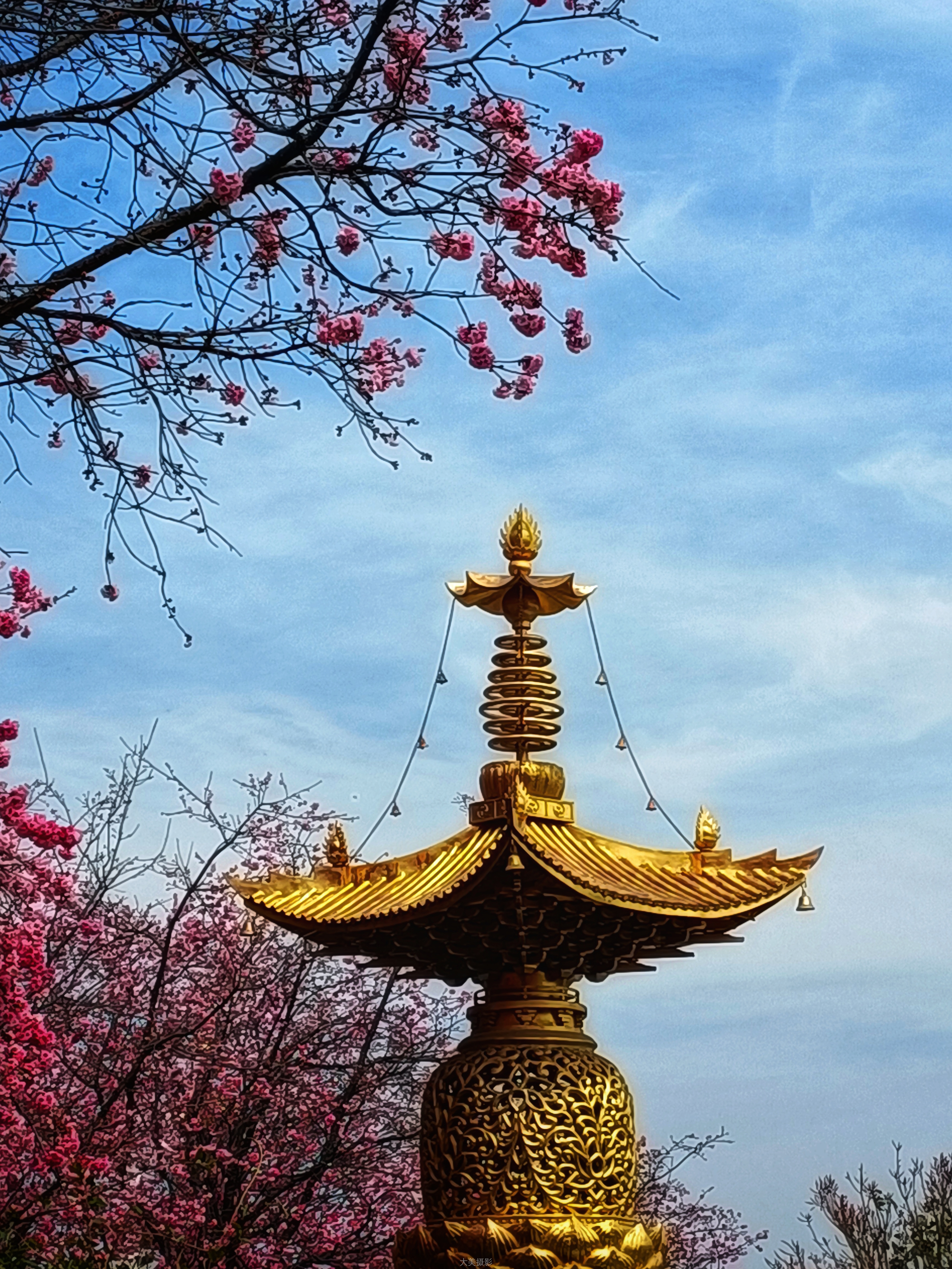 稻草人《佛国春色》 OPPO.jpg